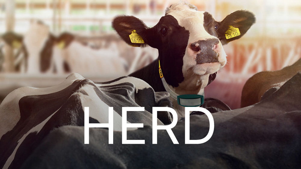 Module Troupeau DairyNet