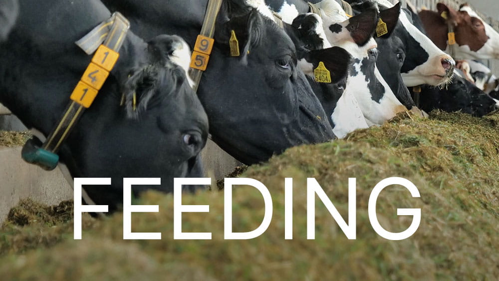 Module Alimentation DairyNet