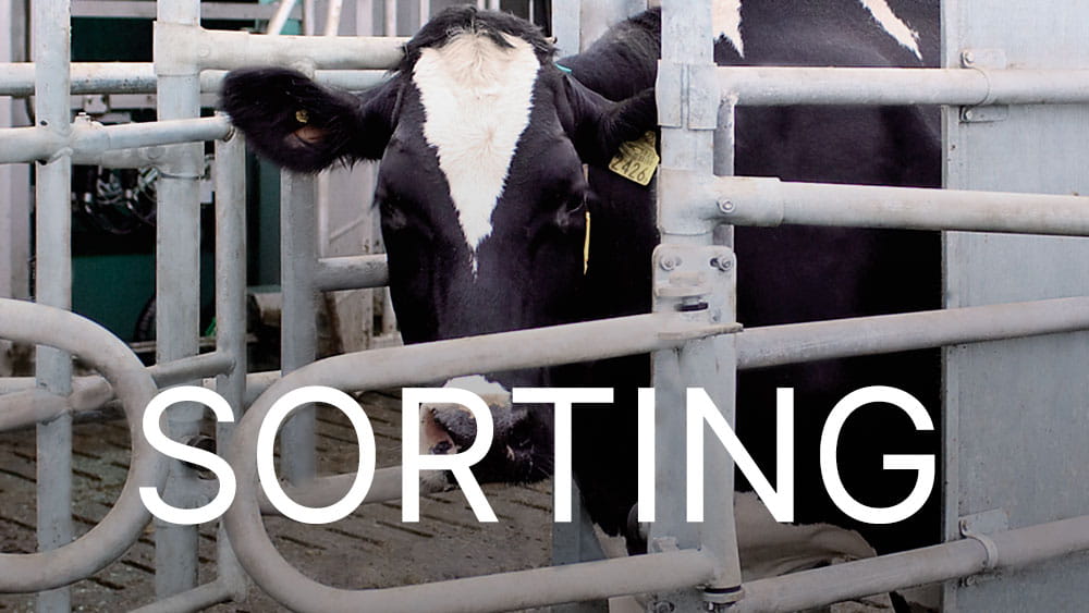 Module Tri DairyNet
