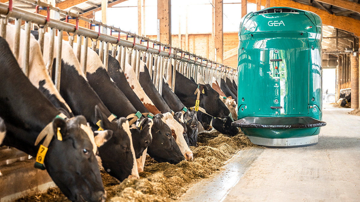 Robot d'alimentation GEA DairyFeed F4500
