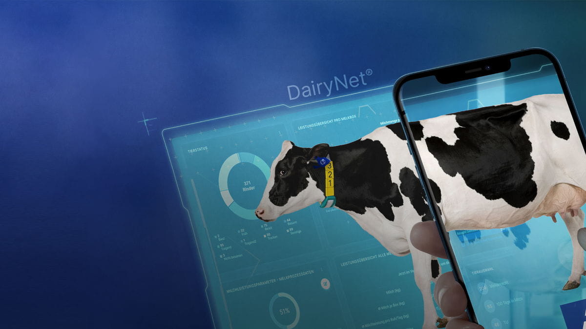 GEA DairyNet gestion numérique de troupeau